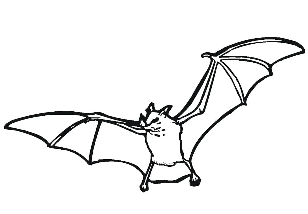 A download, print or color online for free