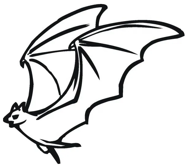 Flying bat coloring page & coloring book. 6000+ coloring pages