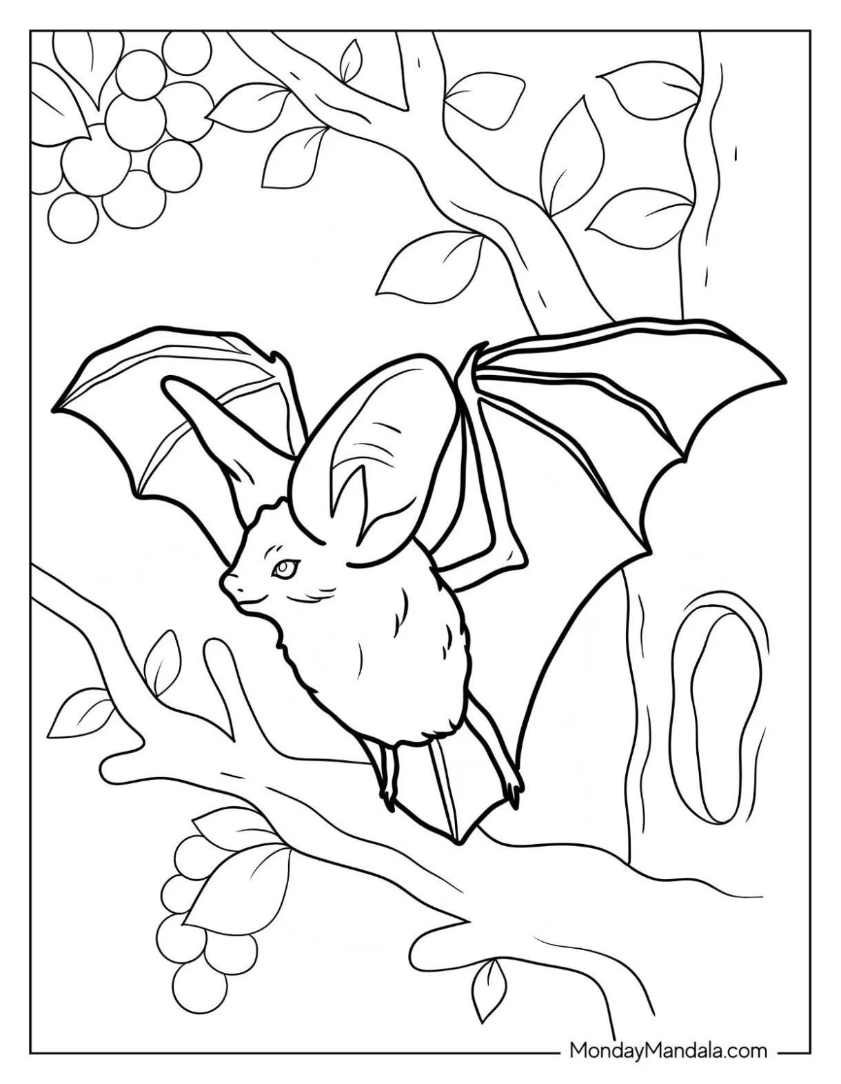 31 bat coloring pages free pdf printables