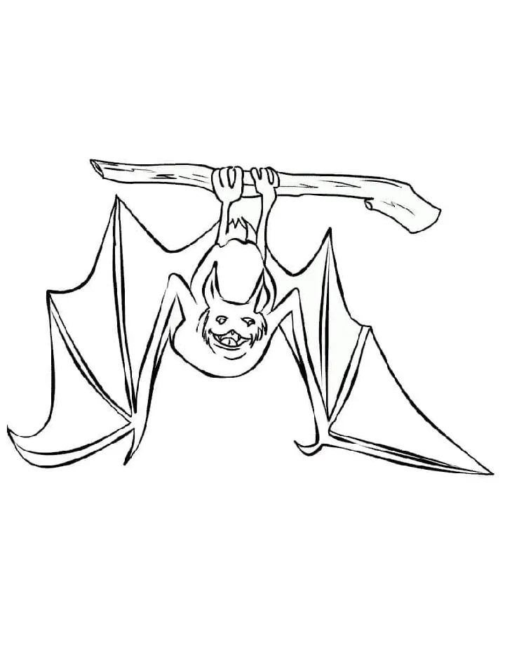 Hanging bat coloring page download, print or color online for free