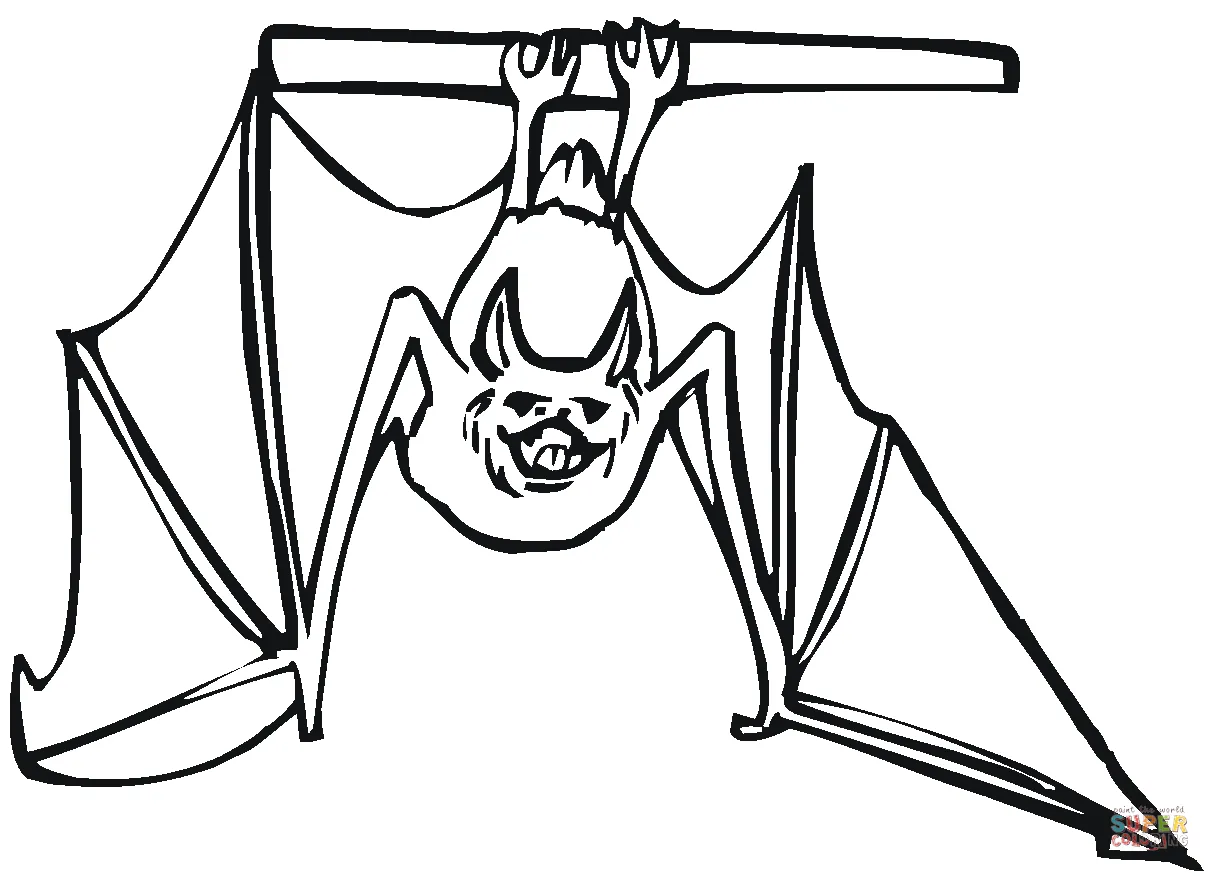 Bat hanging upside down coloring page free printable coloring pages