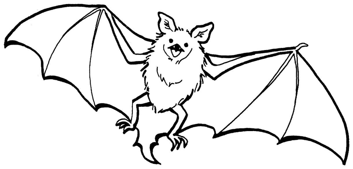 Upside down bat coloring page coloring pages