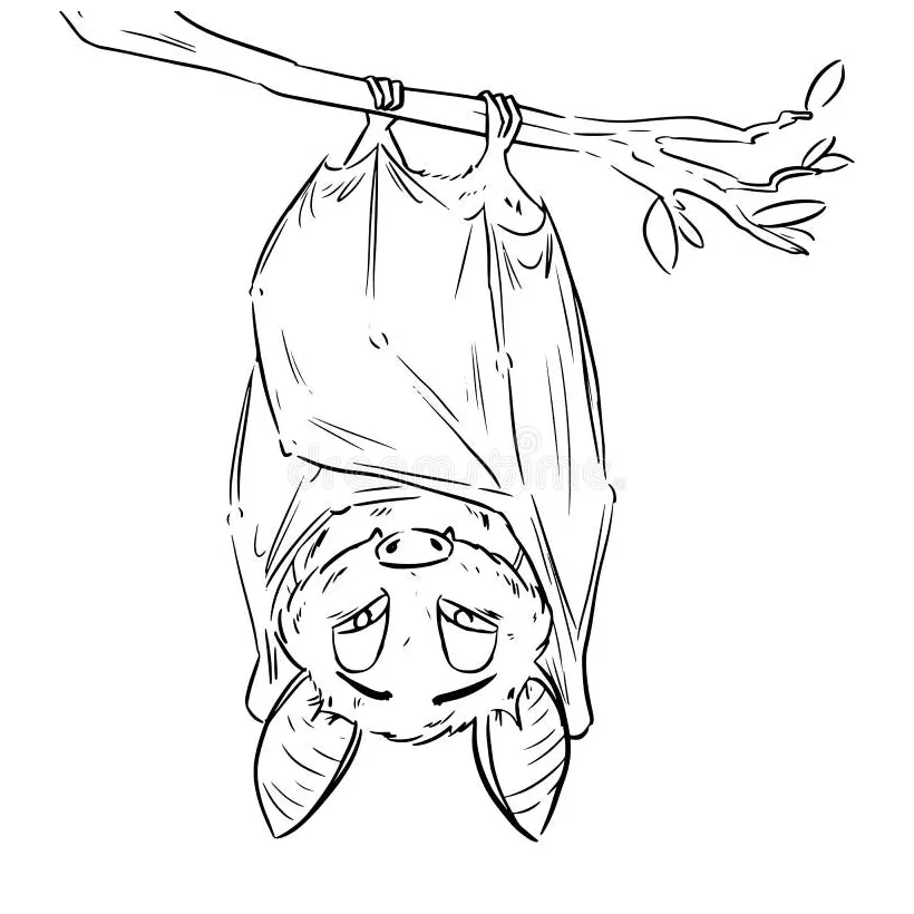 Upside down bat coloring page coloring pages