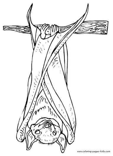 Bat hanging upside down coloring page
