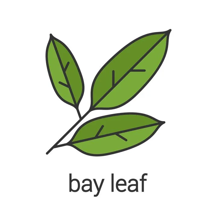Bay Leaf Vector Art, Icons, and Graphics for Free Download