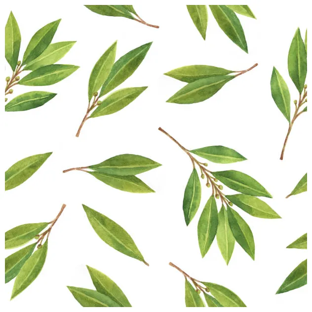 Best Bay Leaf Illustrations, Royalty-Free Vector Graphics & Clip Art
