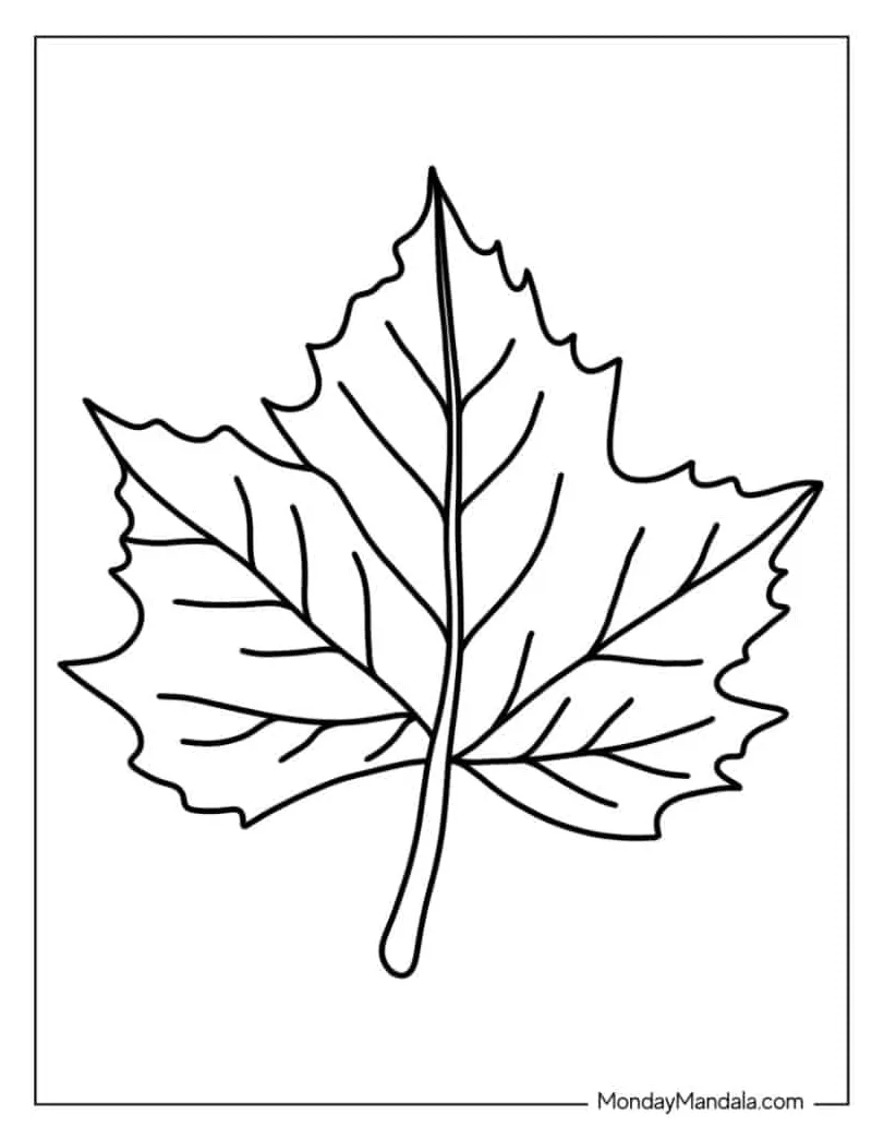 Free Printable Leaf Coloring Pages - FREE Printables