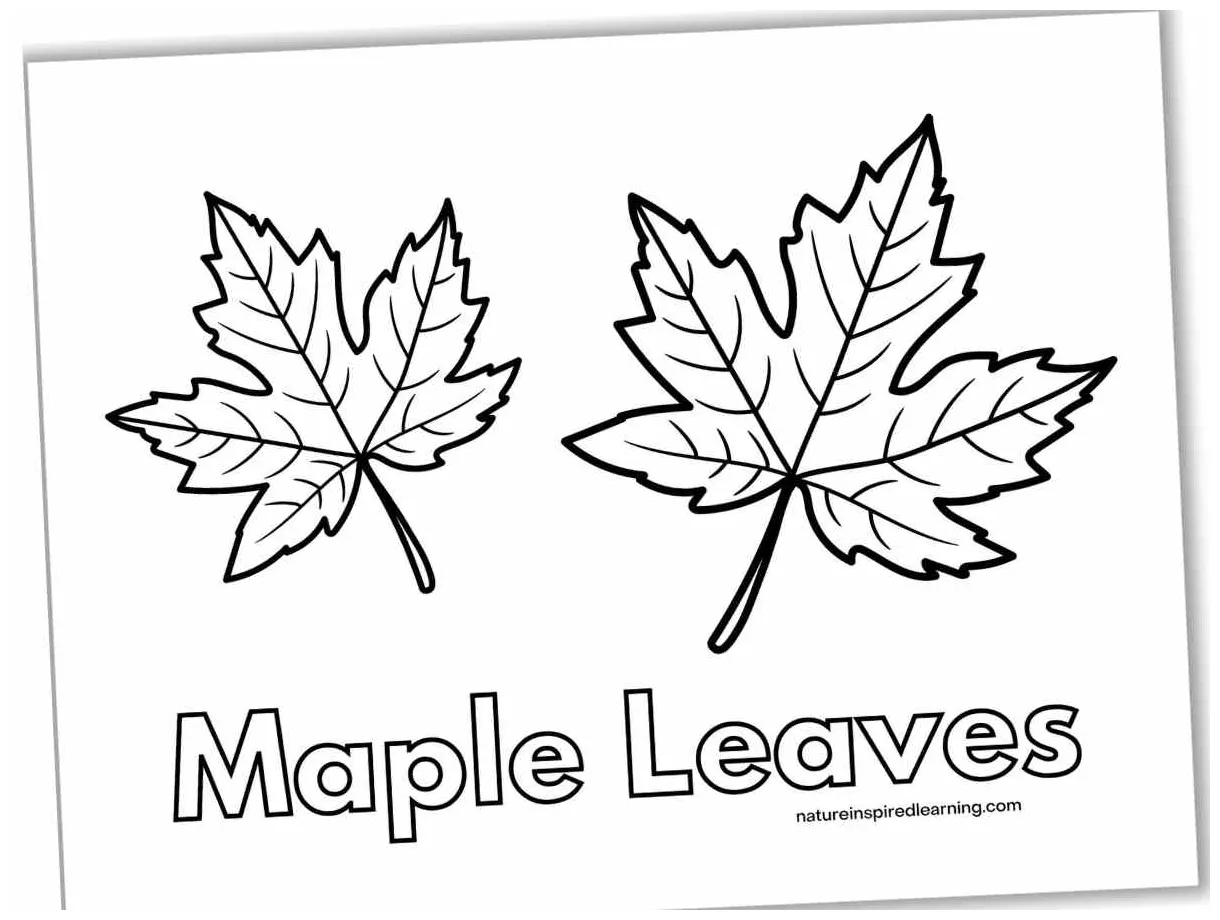 Coloring Page Leaf Leaf Colouring Page For Kids | Free Colouring Book