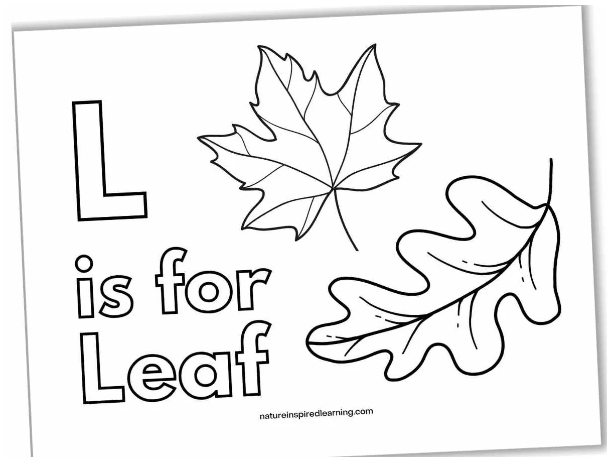 Coloring Page Leaf Leaf Colouring Page For Kids | Free Colouring Book