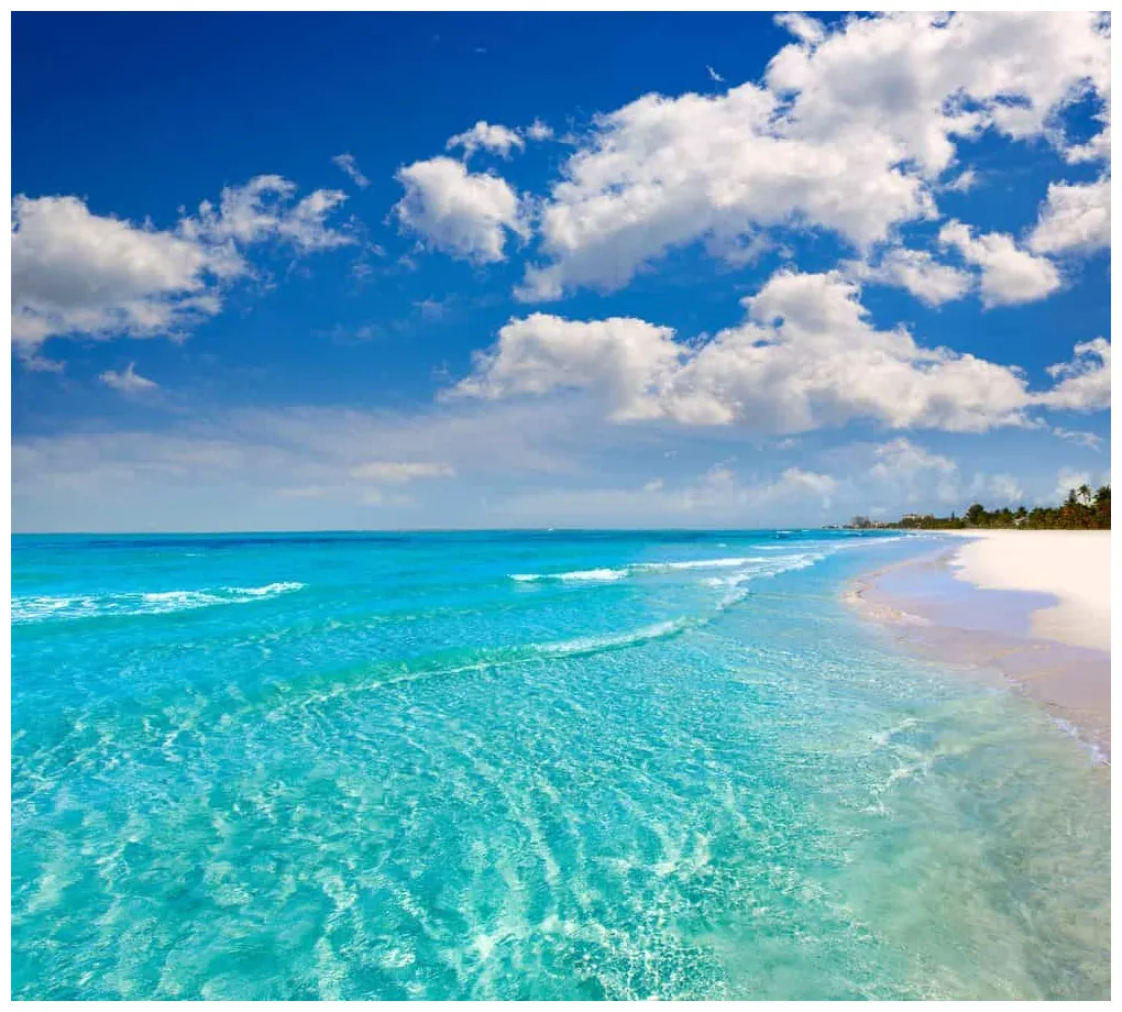 Collection 90+ Pictures Pictures Of The Beach In Florida Sharp 10/2023