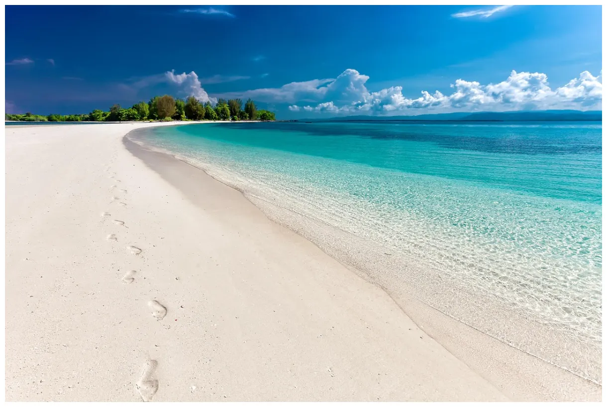 90,000+ free beach shoreline & beach s pixabay