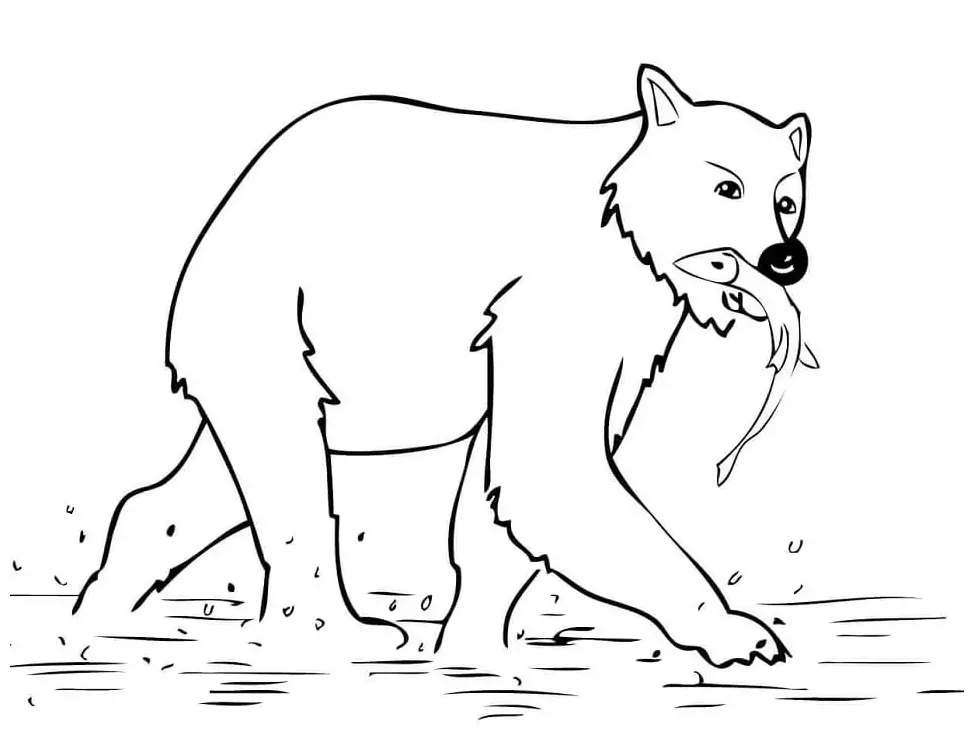 Brown bear catching fish