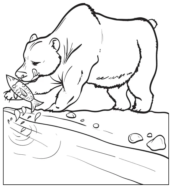 Printable bear catching a fish coloring page for kids supplyme