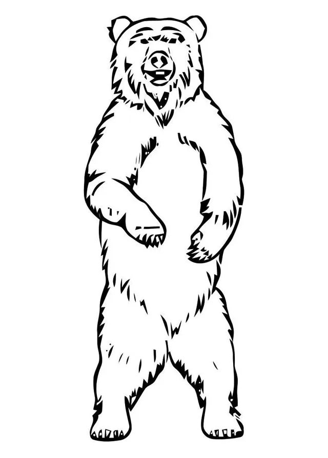 Coloring page bear free printables img 19400