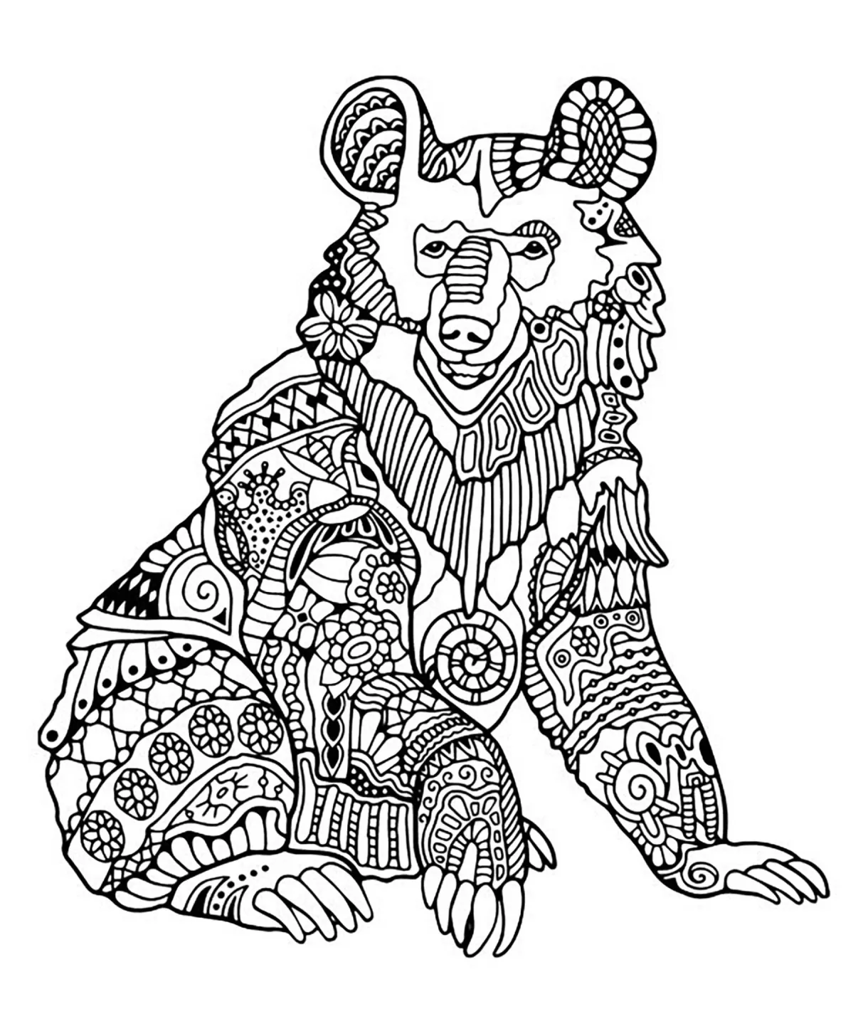 Bear 1 bears adult coloring pages