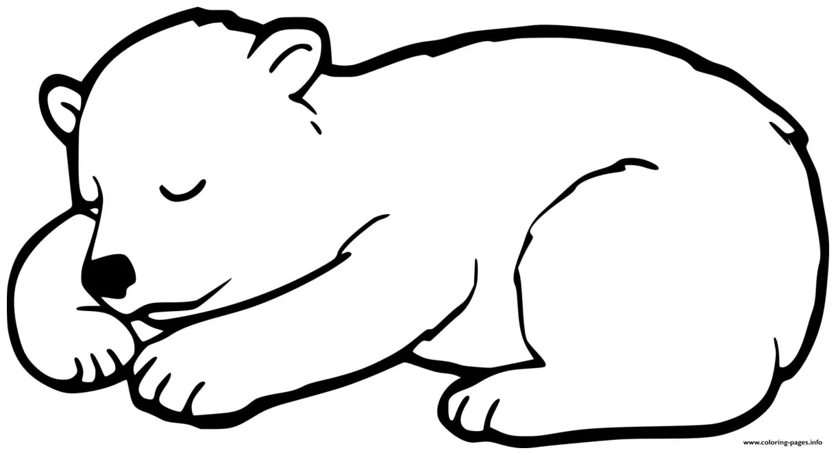 Hibernate baby bear coloring page free printable coloring pages