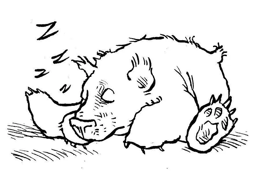 Coloring page sleeping bear free printables img 7580