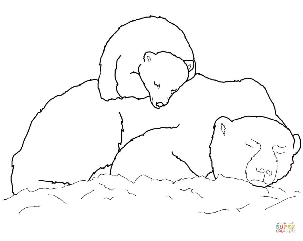 Sleeping bear coloring pages printable coloring pages