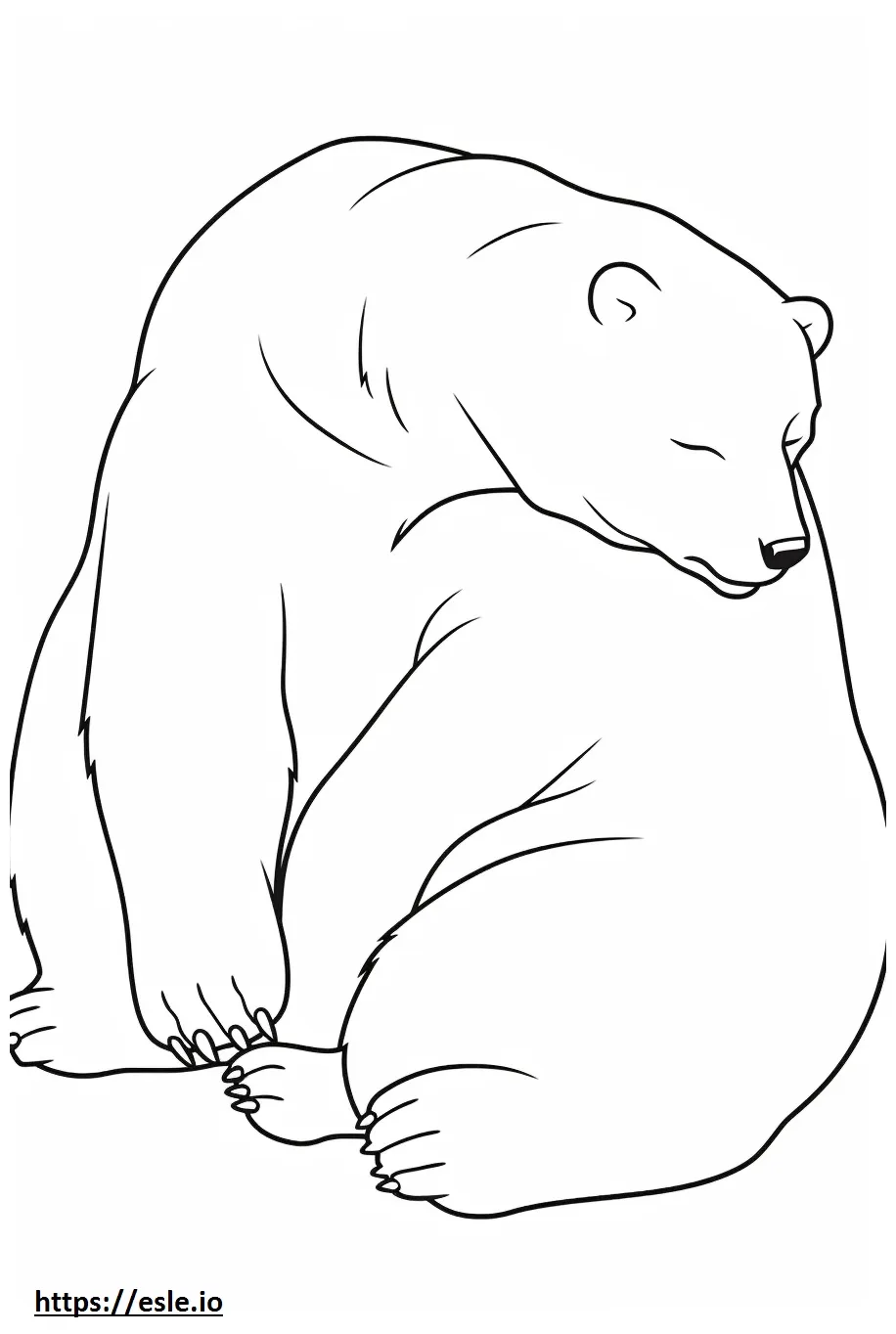 Bear sleeping coloring page