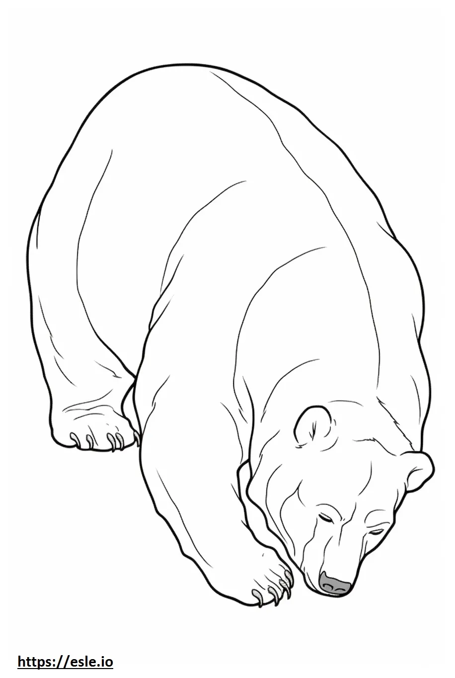 Brown bear sleeping coloring page
