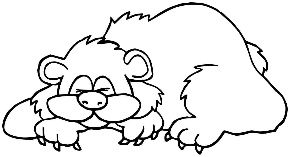 Sleeping bear coloring page at getcolorings free printable