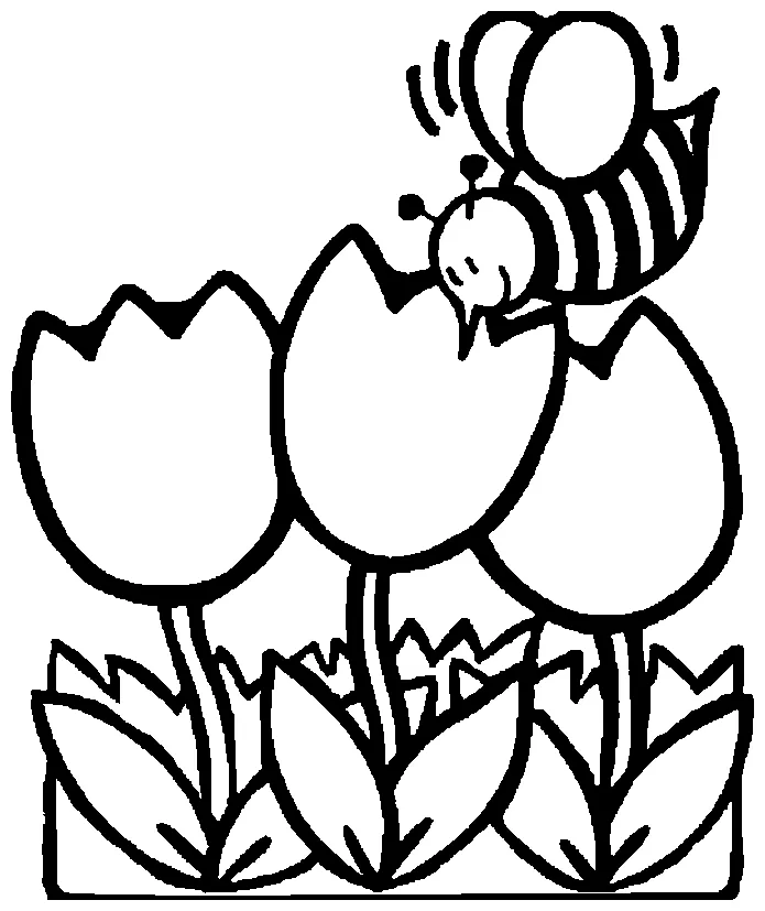 Animals town animals color sheet bee printable