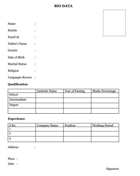 [pdf] 4+ biodata format for job application pdf