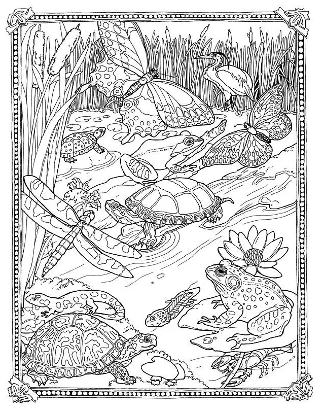 Biology Coloring Pages - Coloring Home