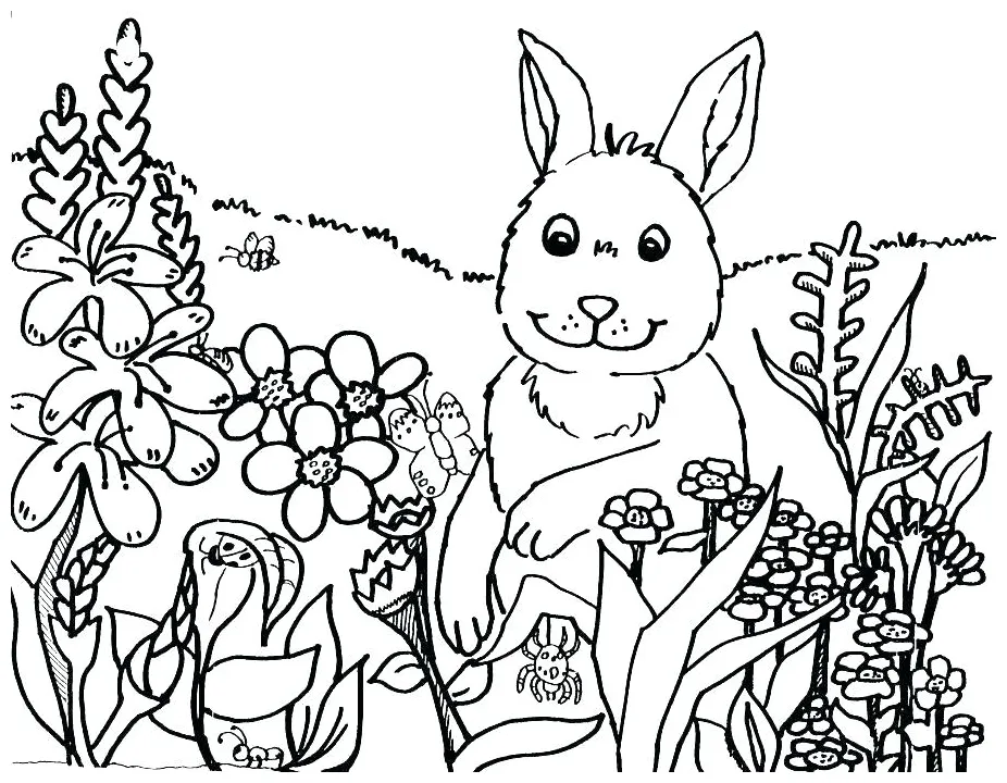 Biology coloring pages at getcolorings free printable colorings