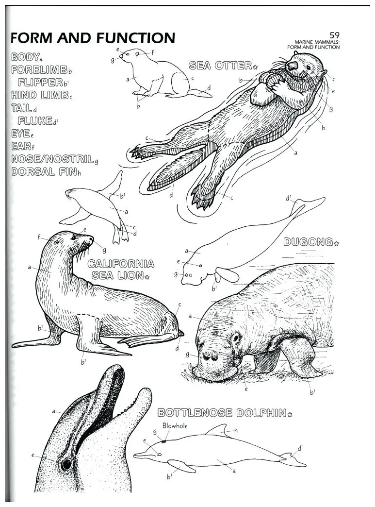 Biology cover page coloring coloring pages