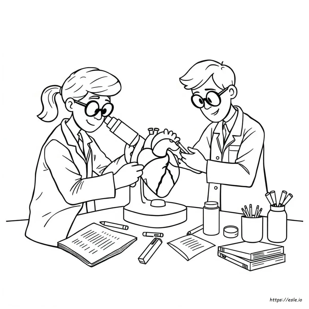 Kérdezz Egy Biológust Színező Oldal: Szív Válaszok