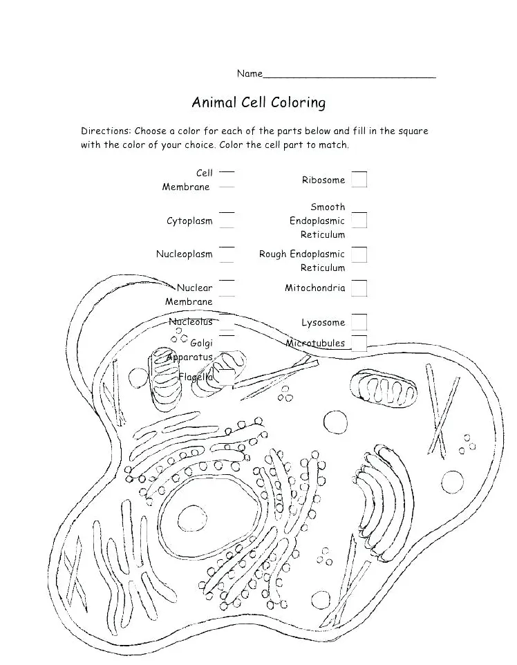 Biology coloring pages at getcolorings free printable colorings