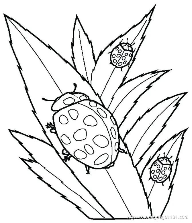 Biology Coloring Pages at GetColorings.com | Free printable colorings