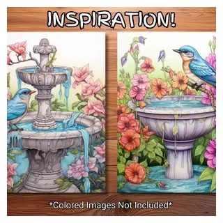 30 Lovely Bird Bath Coloring Page Book - Adults + Kids - Instant