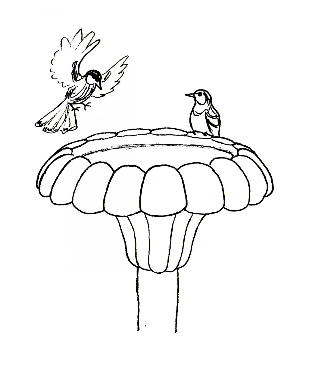 Bird Baths Coloring Pages Coloring Pages