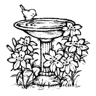 Bird Baths Coloring Pages Coloring Pages
