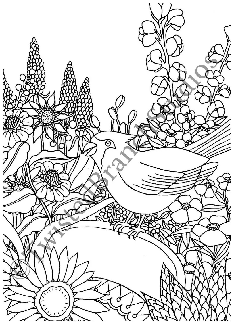 Bird Baths Coloring Pages Coloring Pages