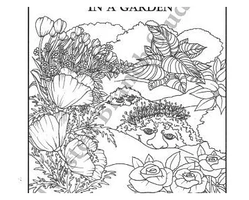 Bird Bath Coloring Page Instant Download Digital Coloring | Etsy