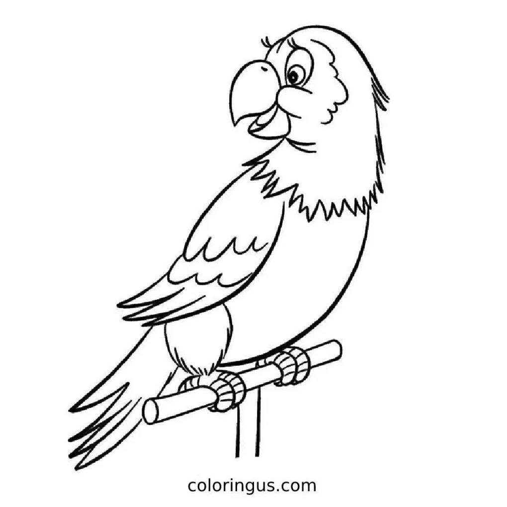 Bird coloring pages - coloringus.com