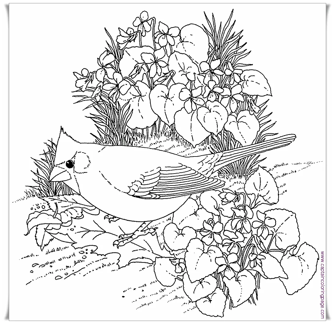 Coloring book pdf download