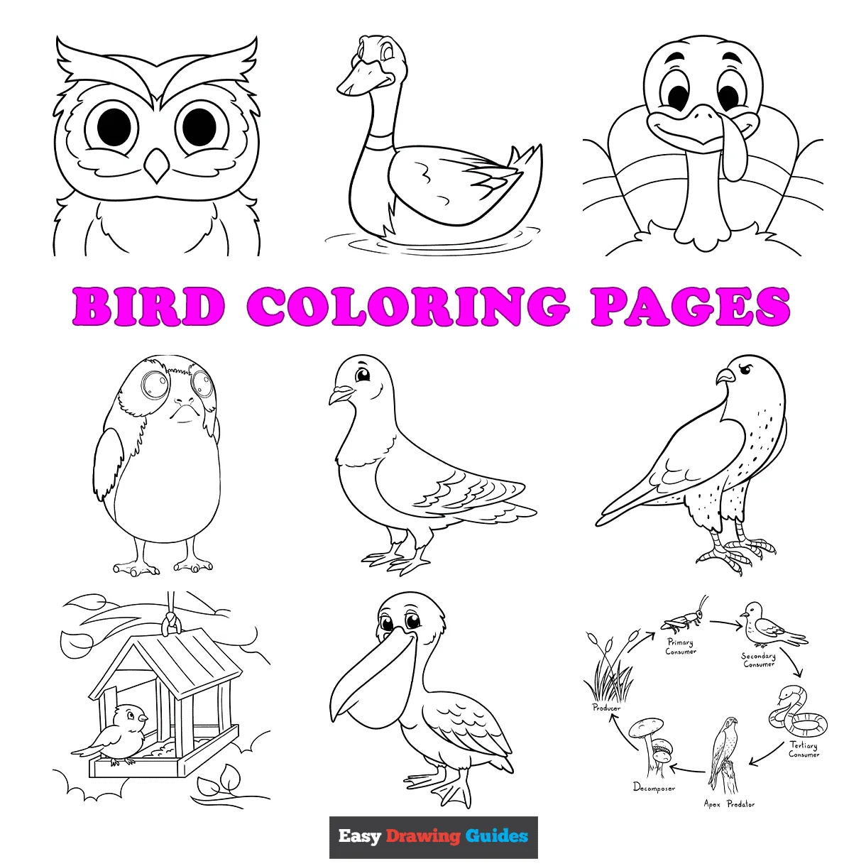 Terror Bird Coloring Page Coloring Pages