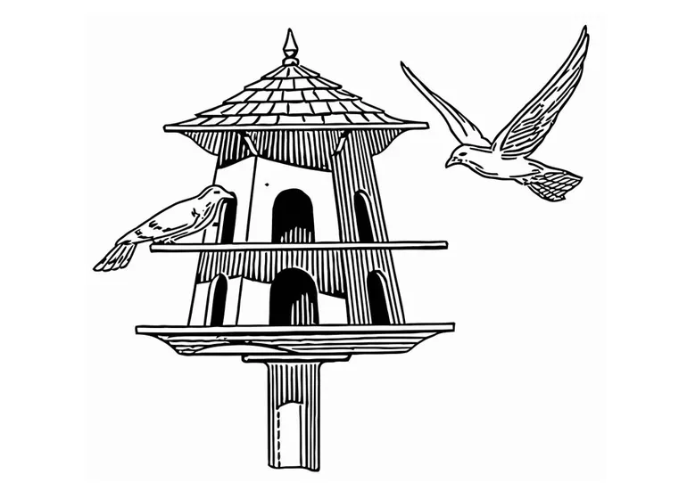 Coloring page bird feeder free printables img 20683