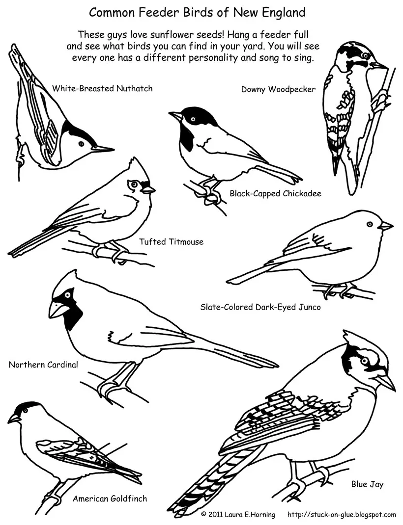 Winter bird feeder coloring page coloring pages