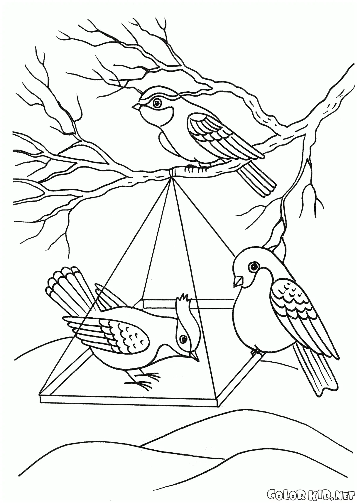Coloring page birds in a feeder