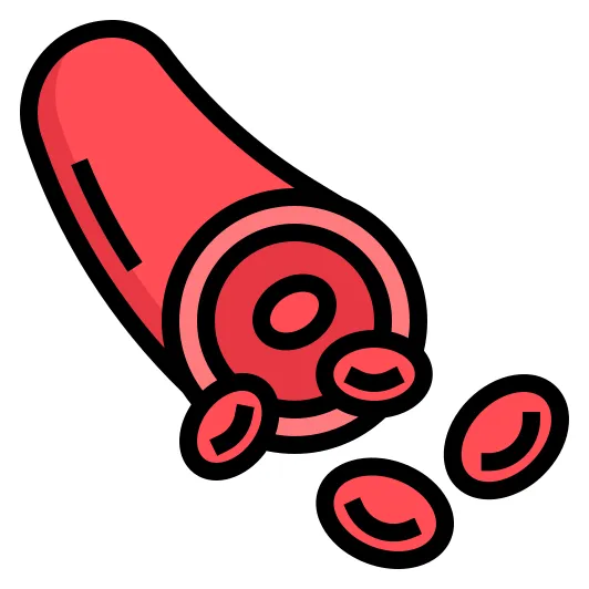 Blood vessel generic outline color icon