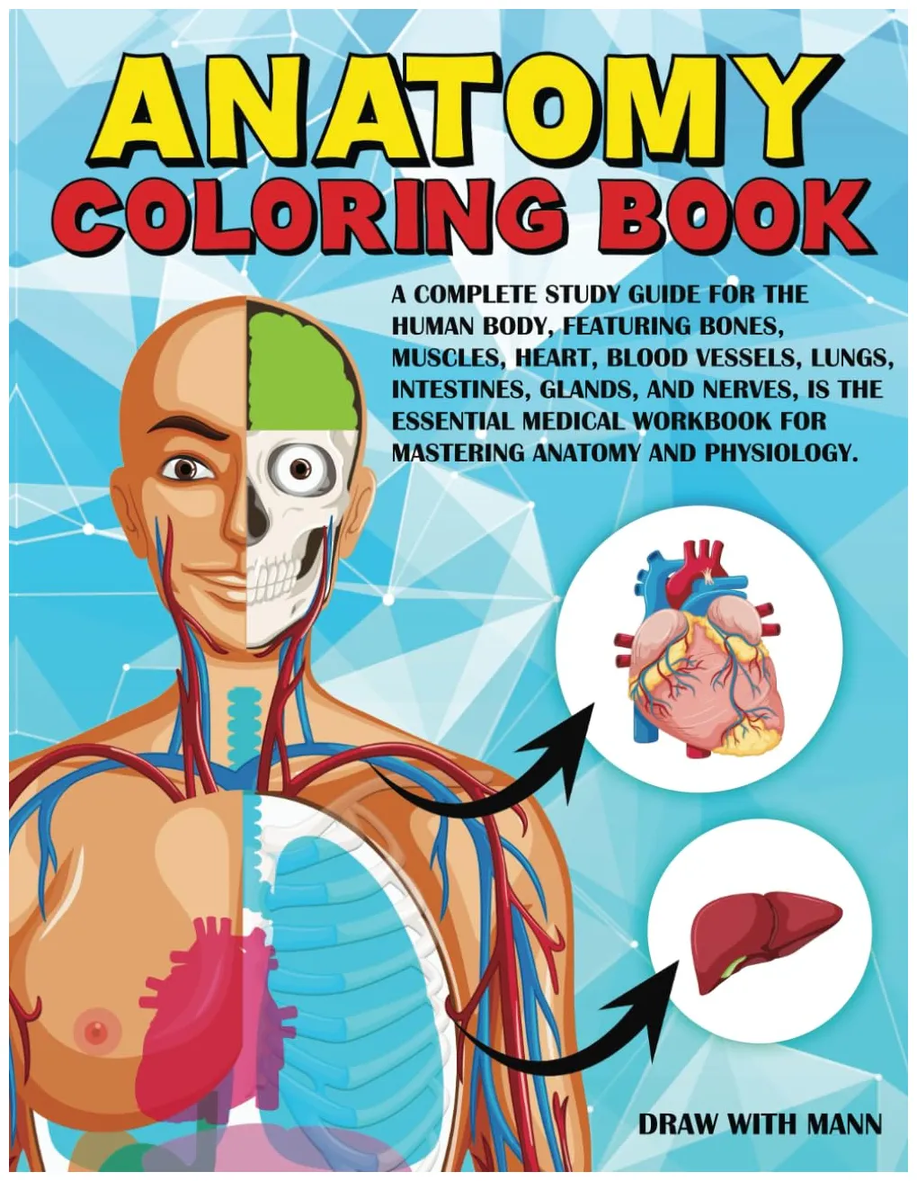 Blood vessel coloring pages [2025]