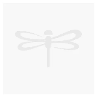 Bohemian artwork coloring worksheet printable coloring page