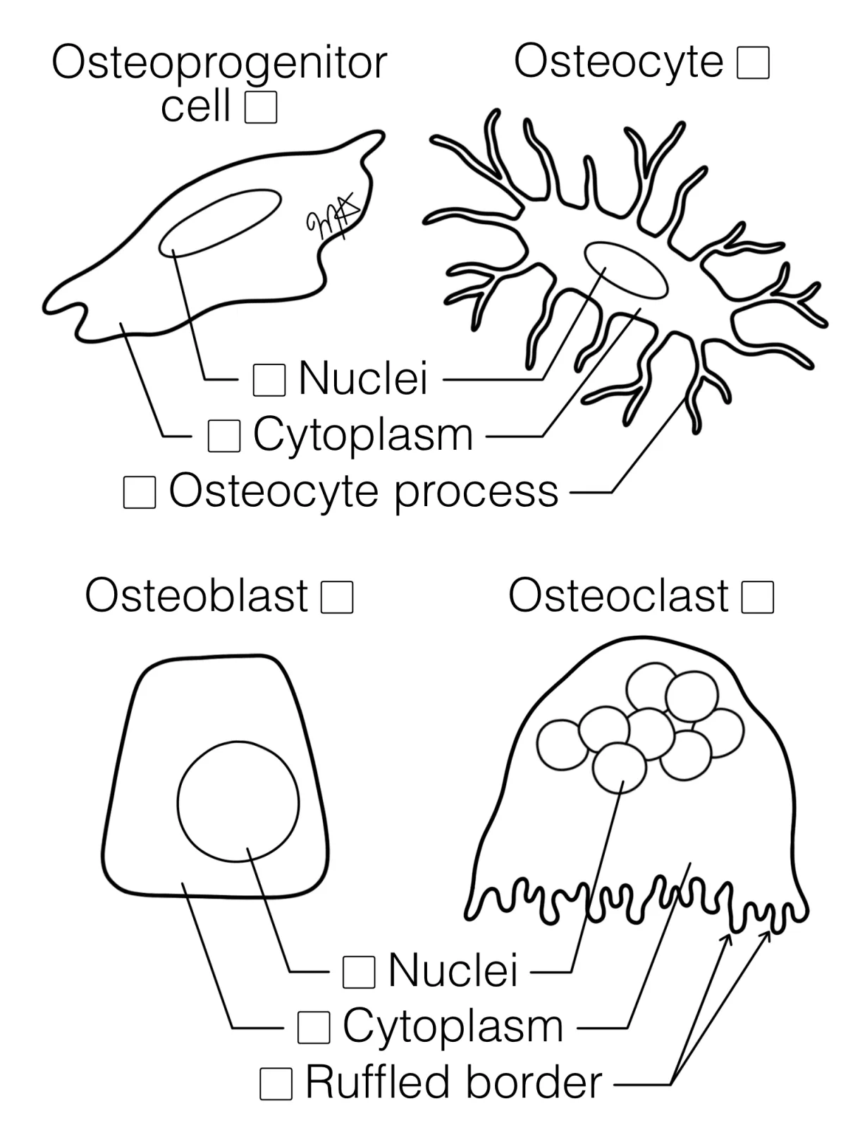 Microscopic s [2025]