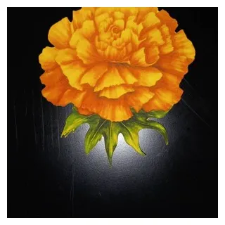 Instant download grayscale coloring page