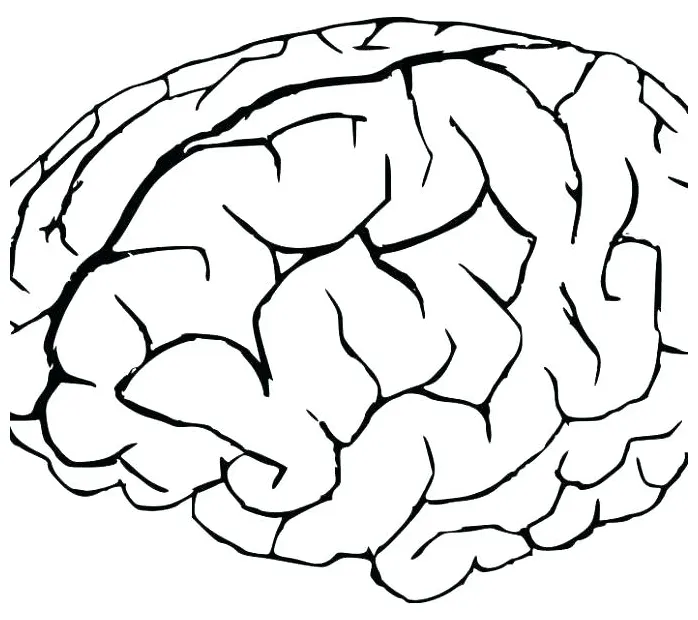 Brain Coloring Page at GetColorings.com | Free printable colorings